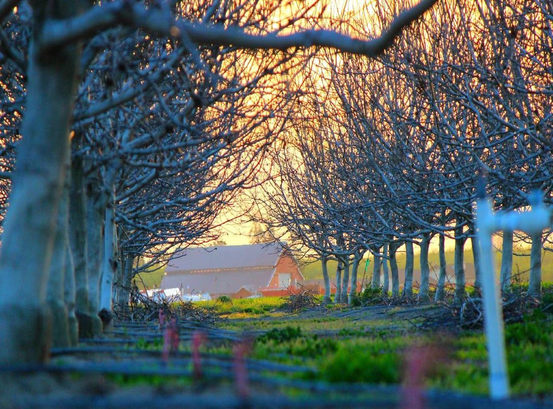 From Screen to Reality: A Step-by-Step Assembly Guide