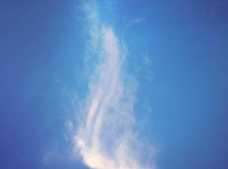 el curandero (película) reparto