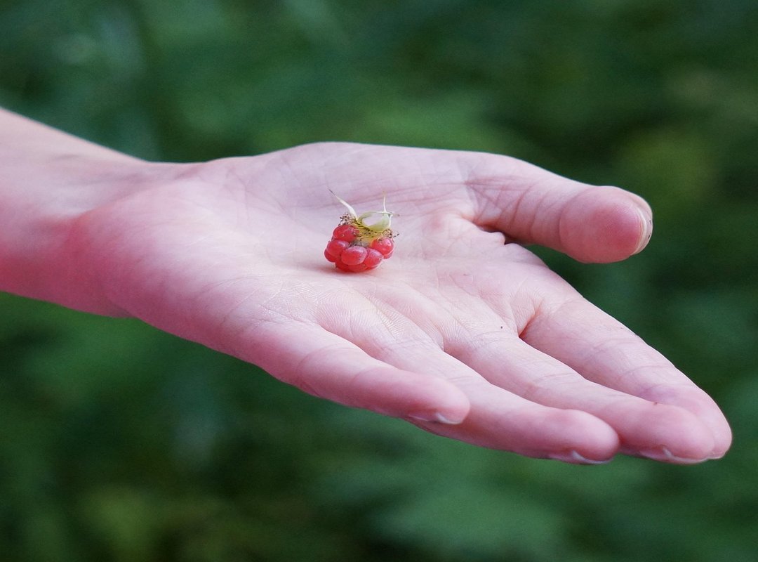 Game Developments Elmagplayers