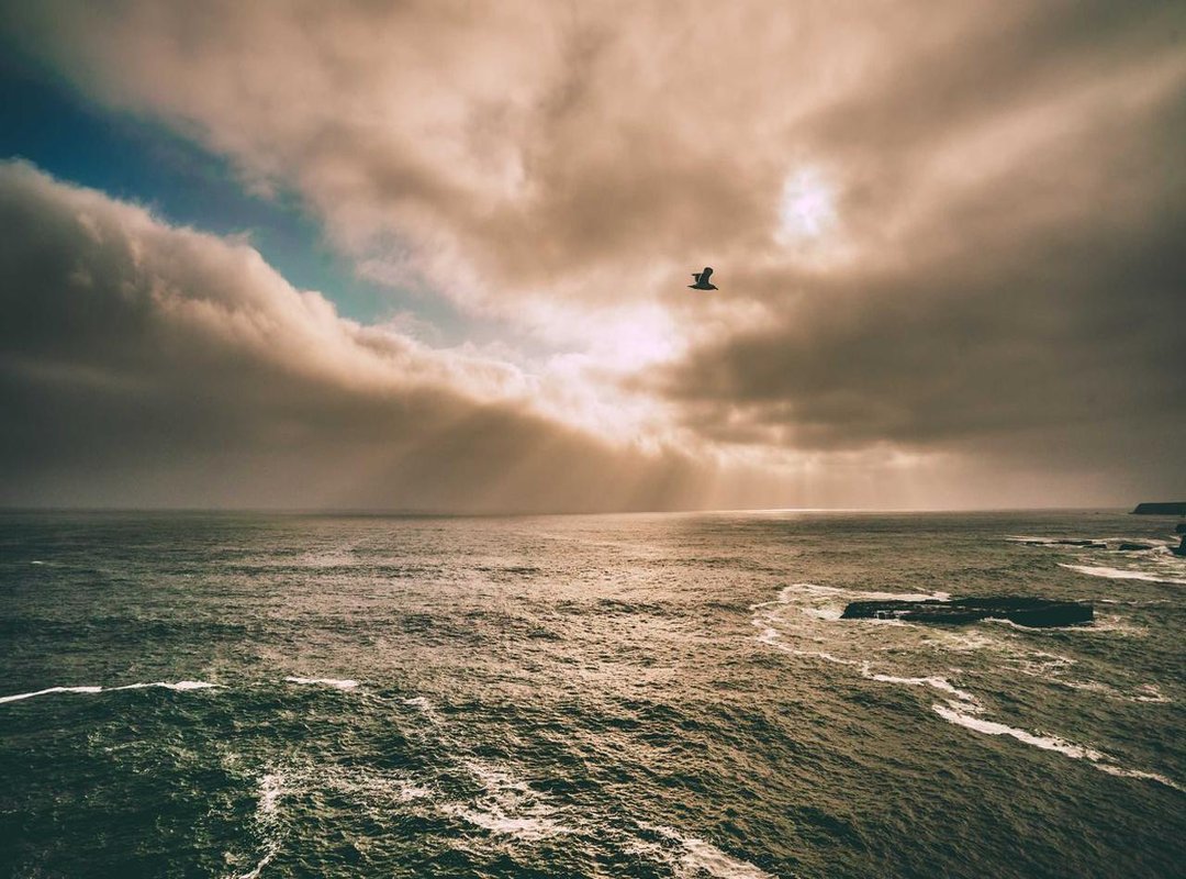 Warning Signs: How to Spot Fakes and Low-Effort Bootlegs